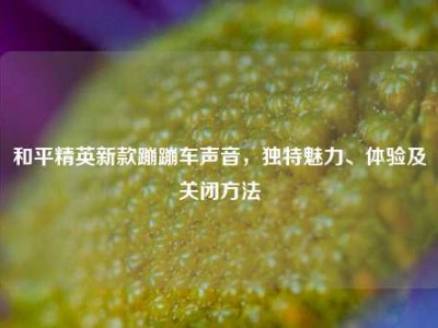 和平精英新款蹦蹦车声音，独特魅力、体验及关闭方法