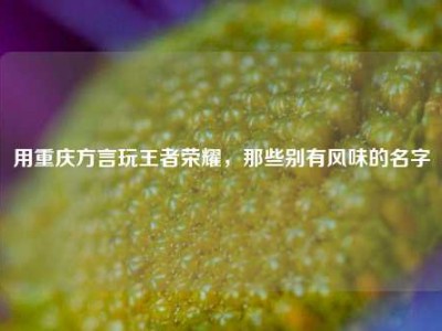 用重庆方言玩王者荣耀，那些别有风味的名字