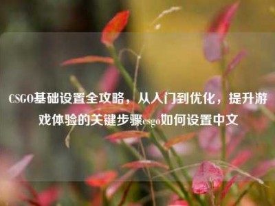 CSGO基础设置全攻略，从入门到优化，提升游戏体验的关键步骤csgo如何设置中文