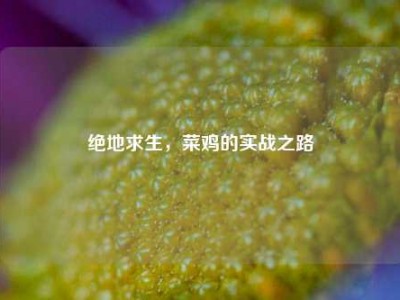 绝地求生，菜鸡的实战之路