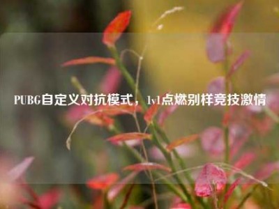 PUBG自定义对抗模式，1v1点燃别样竞技激情