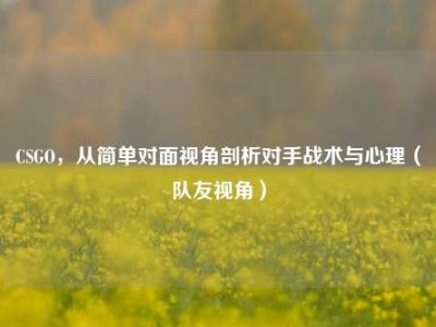 CSGO，从简单对面视角剖析对手战术与心理（队友视角）