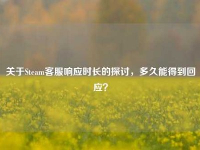 关于Steam客服响应时长的探讨，多久能得到回应？