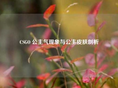 CSGO 公主气现象与公主皮肤剖析