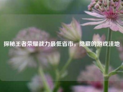 探秘王者荣耀战力最低省市，隐藏的游戏洼地