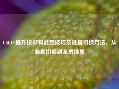 CSGO 提升投掷物准度技巧及准星切换方法，从准星切换到全屏准星
