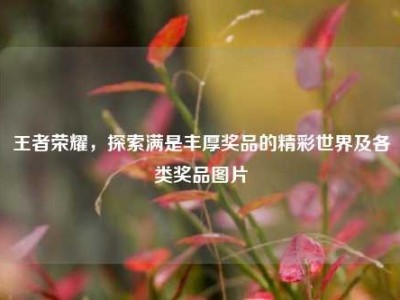 王者荣耀，探索满是丰厚奖品的精彩世界及各类奖品图片
