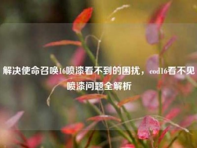 解决使命召唤16喷漆看不到的困扰，cod16看不见喷漆问题全解析