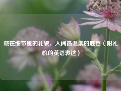 藏在细节里的礼貌，人间最温柔的底色（附礼貌的英语表达）