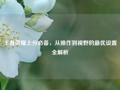 王者荣耀上分必备，从操作到视野的最优设置全解析