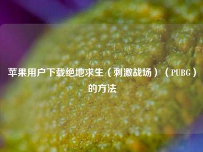 苹果用户下载绝地求生（刺激战场）（PUBG）的方法