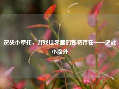 逆战小摩托，游戏世界里的独特存在——逆战小魔外