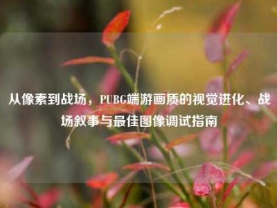 从像素到战场，PUBG端游画质的视觉进化、战场叙事与最佳图像调试指南