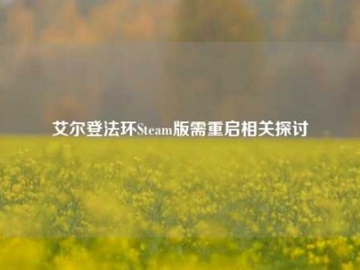 艾尔登法环Steam版需重启相关探讨