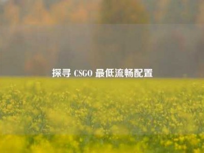 探寻 CSGO 最低流畅配置