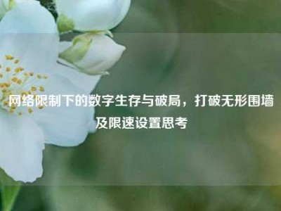 网络限制下的数字生存与破局，打破无形围墙及限速设置思考