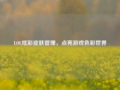 LOL炫彩皮肤管理，点亮游戏色彩世界