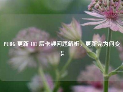 PUBG 更新 181 后卡顿问题解析，更新完为何变卡