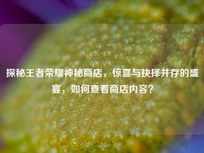 探秘王者荣耀神秘商店，惊喜与抉择并存的盛宴，如何查看商店内容？