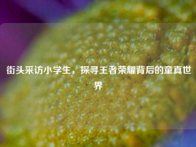 街头采访小学生，探寻王者荣耀背后的童真世界