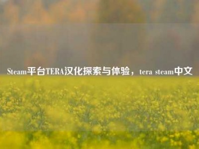Steam平台TERA汉化探索与体验，tera steam中文