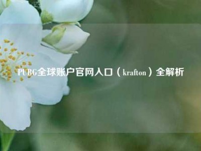 PUBG全球账户官网入口（krafton）全解析