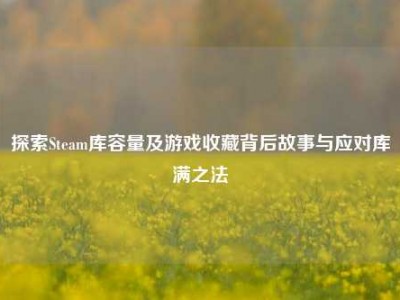 探索Steam库容量及游戏收藏背后故事与应对库满之法
