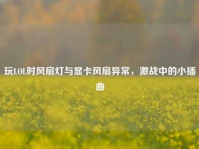 玩LOL时风扇灯与显卡风扇异常，激战中的小插曲