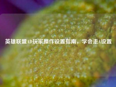 英雄联盟AD玩家操作设置指南，学会走A设置