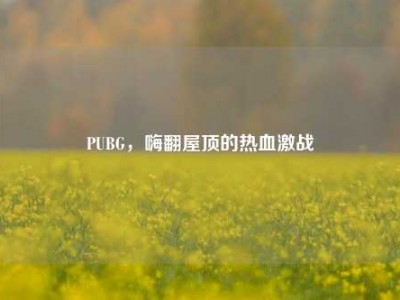 PUBG，嗨翻屋顶的热血激战