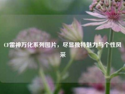CF雷神万化系列图片，尽显独特魅力与个性风采