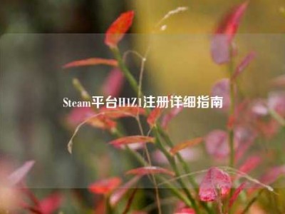 Steam平台H1Z1注册详细指南