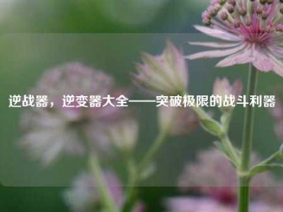 逆战器，逆变器大全——突破极限的战斗利器
