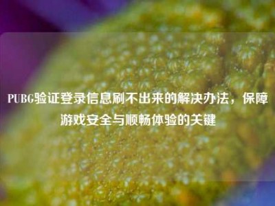 PUBG验证登录信息刷不出来的解决办法，保障游戏安全与顺畅体验的关键