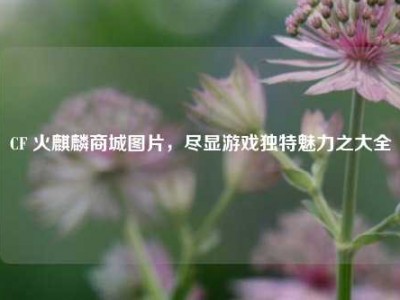 CF 火麒麟商城图片，尽显游戏独特魅力之大全
