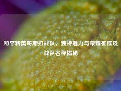 和平精英哥斯拉战队，独特魅力与荣耀征程及战队名称揭秘