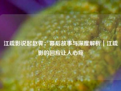 江疏影说起赵霁：幕后故事与深度解析｜江疏影的回应让人心疼