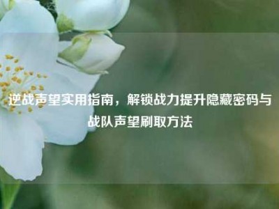 逆战声望实用指南，解锁战力提升隐藏密码与战队声望刷取方法