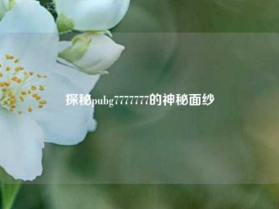 探秘pubg7777777的神秘面纱