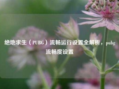 绝地求生（PUBG）流畅运行设置全解析，pubg流畅度设置