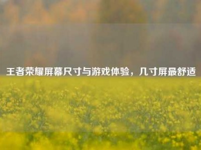 王者荣耀屏幕尺寸与游戏体验，几寸屏最舒适