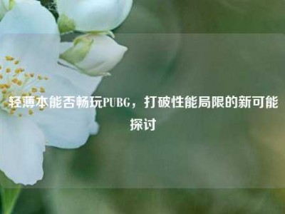 轻薄本能否畅玩PUBG，打破性能局限的新可能探讨
