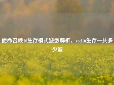 使命召唤16生存模式波数解析，cod16生存一共多少波