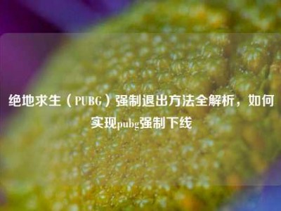 绝地求生（PUBG）强制退出方法全解析，如何实现pubg强制下线
