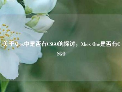 关于Xbox中是否有CSGO的探讨，Xbox One是否有CSGO