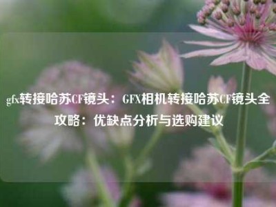 gfx转接哈苏CF镜头：GFX相机转接哈苏CF镜头全攻略：优缺点分析与选购建议