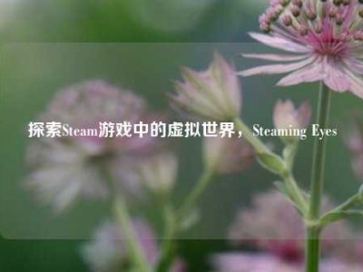 探索Steam游戏中的虚拟世界，Steaming Eyes