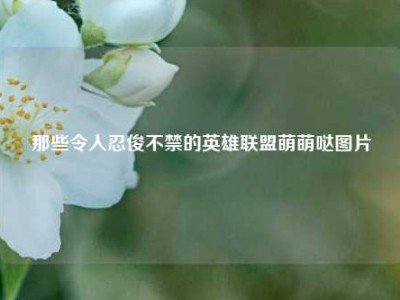 那些令人忍俊不禁的英雄联盟萌萌哒图片