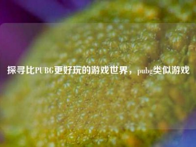 探寻比PUBG更好玩的游戏世界，pubg类似游戏