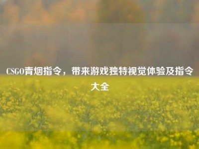 CSGO青烟指令，带来游戏独特视觉体验及指令大全